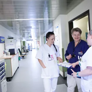 En gruppe mennesker i et rom